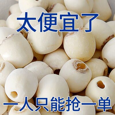 2024年新无心莲子干货500g非特级去心空心连子福建建宁大颗粒