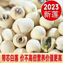 正宗带心的莲子干货500g非特级带芯莲子结婚用连子不去芯商用发批