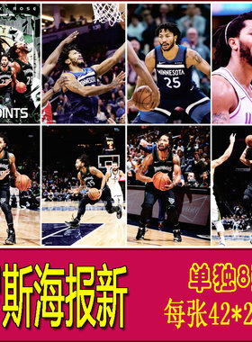 德里克罗斯海报nba篮球明星