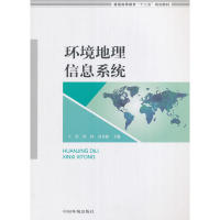 正版环境地理信息系统冯永新编王俭侯伟