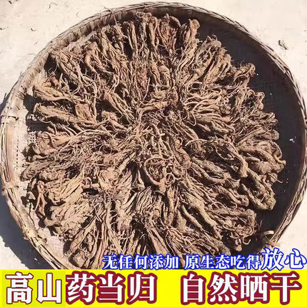 干当归四川高山药当归 全当归 散装农家直销药当归500g