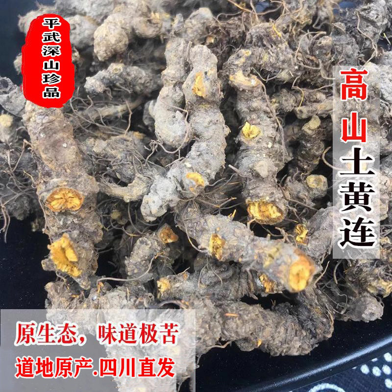 四川黄莲中药材黄连中药材批发  川黄连 正宗川黄连中草药黄连