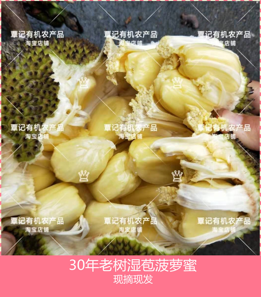 海南湿苞菠萝蜜3-20斤大中小果大树老树黄肉菠萝蜜整个包邮现摘