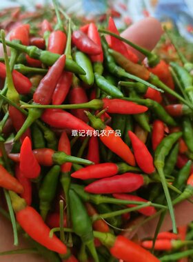 新鲜海南小米椒小辣椒红绿混搭