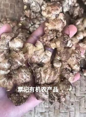 5斤海南生姜小种黄姜农家新鲜