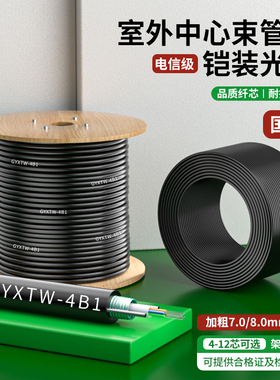 室外铠装光缆加粗GYXTW单模光纤线4/6/8/12芯国标中心束管式架空线缆100/500/1000米户外四/八芯光缆线电信级