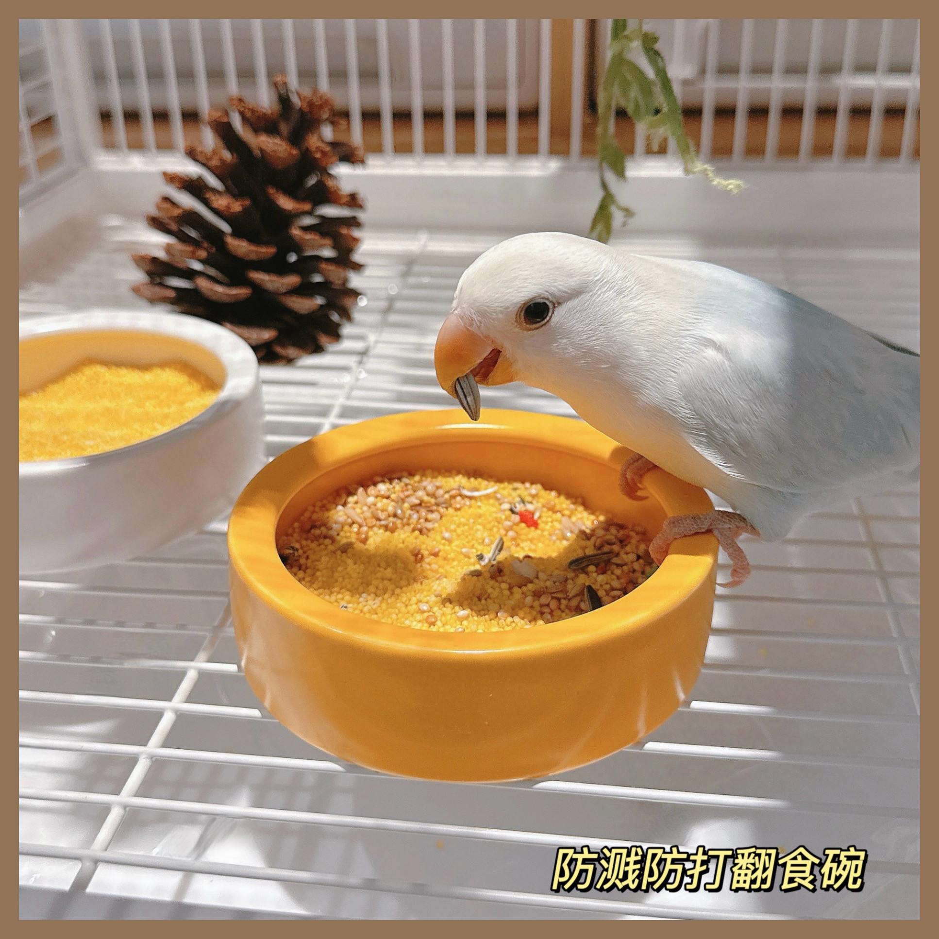 鹦鹉食盒陶瓷食罐食盆鸟杯防洒防溅食碗学吃小型宠物防打翻鸟用品图片