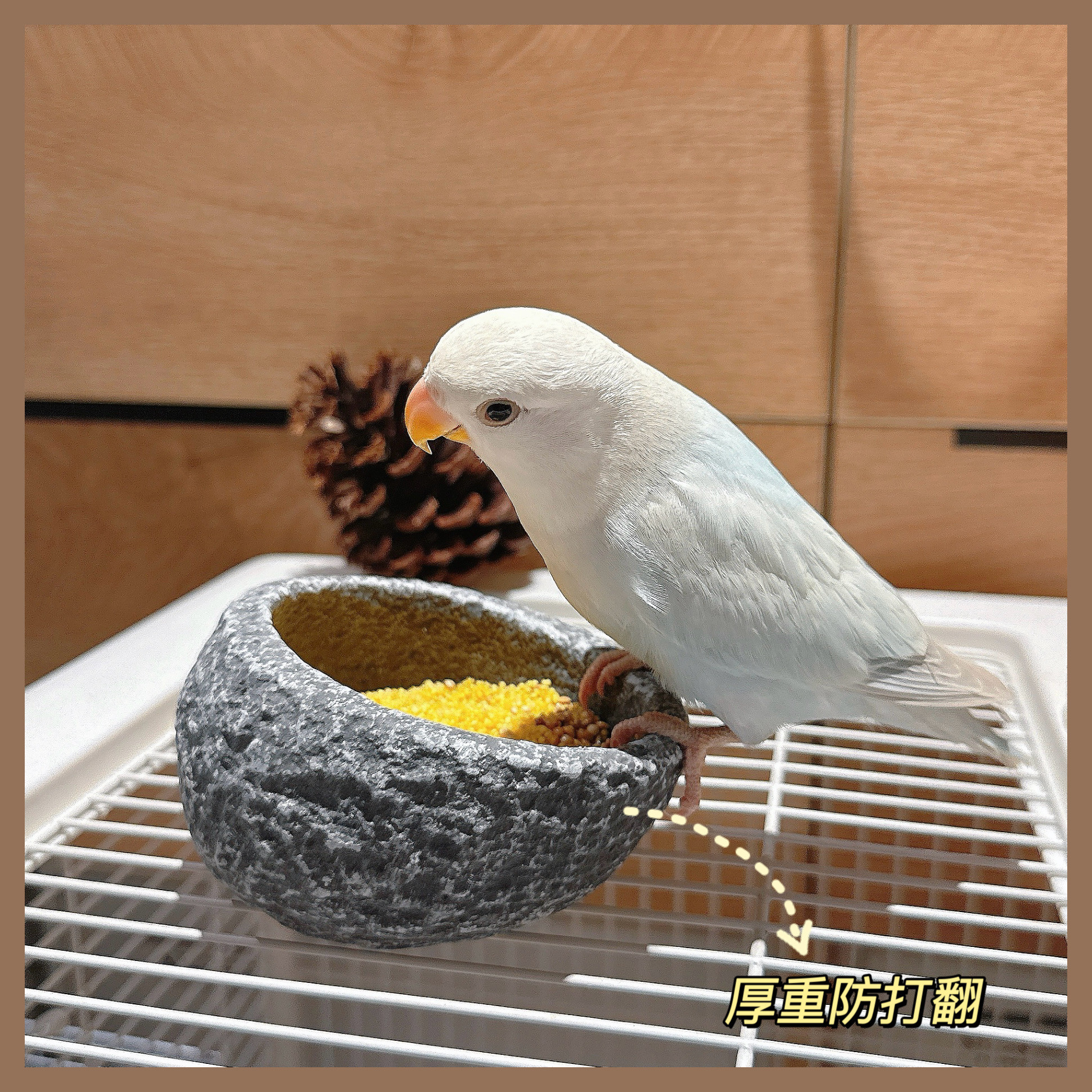 鹦鹉食盒陶瓷食罐食盆鸟杯防洒防溅食碗学吃小型宠物防打翻鸟用品,宠物/宠物食品及用品,鸟禽喂食器/喂水器,淘宝优惠券,粉丝福利购,淘宝优惠卷