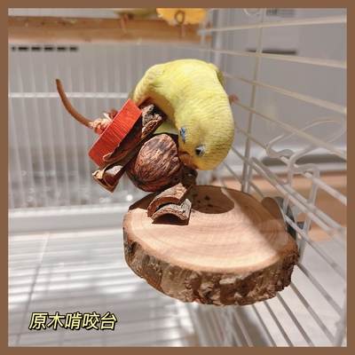 鹦鹉站台苹果木鸟跳台树皮啃咬磨牙玩具栖息玄凤牡丹虎皮站架解压