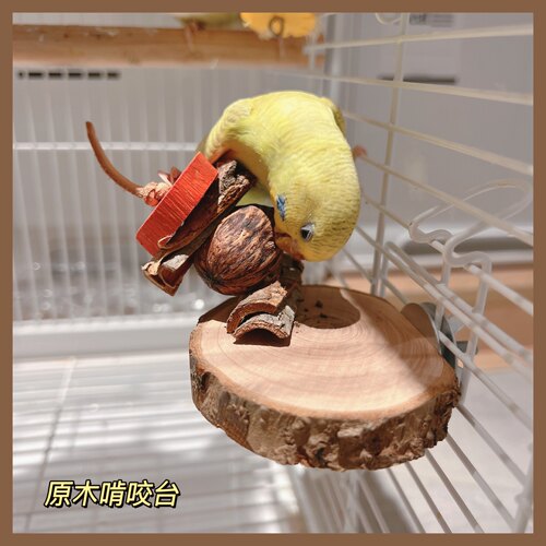 鹦鹉站台苹果木鸟跳台树皮啃咬磨牙玩具栖息玄凤牡丹虎皮站架解压
