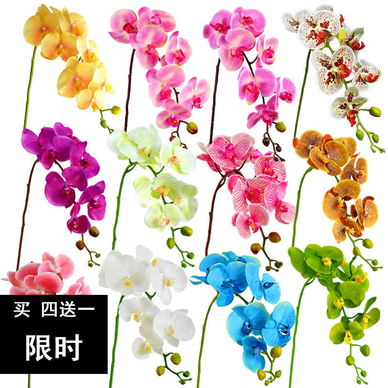 过胶手感蝴蝶兰仿真花单支假花绢花装饰家居摆设花餐桌花婚庆花艺在类目 住宅家具, 桌类, 餐桌中 - 来自Buy2taobao.com提供专业的淘宝代购服务