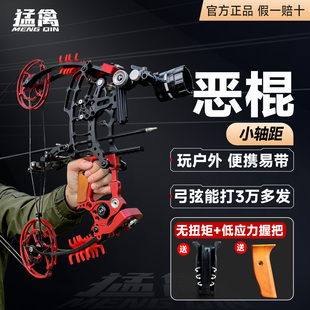 恶棍两用复合弓打钢弹珠射箭户野外成年人专用高精度射击弓室内外