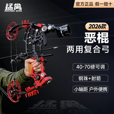 恶棍两用弓pro打钢珠射箭户野外专用成年人高精度射击运动复合弓