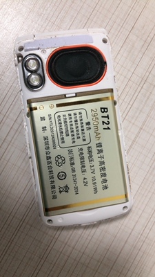 BISUN百立信 S31F蝶恋花电池 电板百立信BT21电池 电板2950mAh