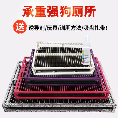 泰迪金毛小中大型犬冲水铁厕所