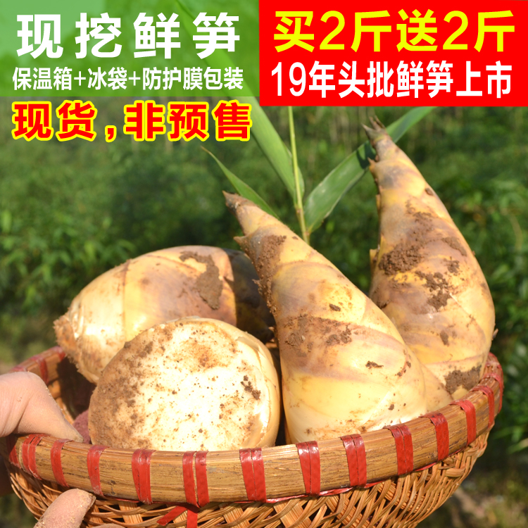 19年新鲜现挖竹笋脆嫩马蹄笋鲜竹笋带壳秋冬鲜笋甜笋4斤装腌笃鲜在类目 水产肉类/新鲜蔬果/熟食, 新鲜蔬菜/蔬菜制品, 新鲜蔬菜, 竹笋中 - 来自Buy2taobao.com提供专业的淘宝代购服务