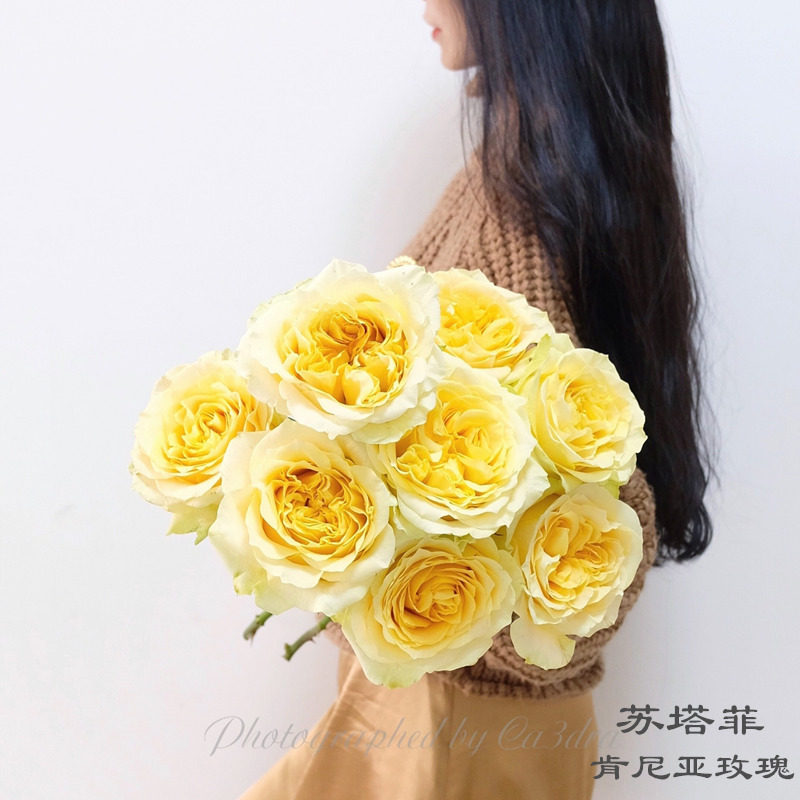 肯尼亚进口鲜花速递菲花园家庭用