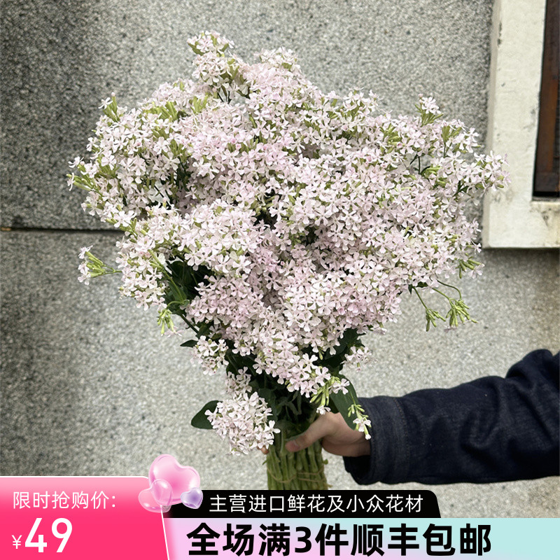 粉钻草花小众优选精品花材鲜花速递家庭室内用花鲜切花10支