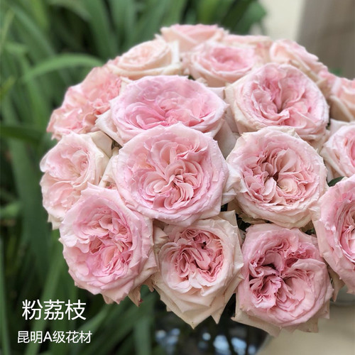 同城严选鲜花速递昆明精选花材粉荔枝玫瑰花有香味家庭插花10支 - 封面