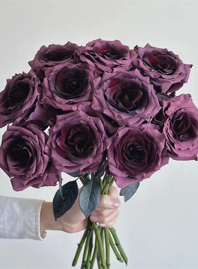 厄瓜多尔进口高端染色鲜花PRUNE AMETHYST梅子玫瑰花10支速递新品