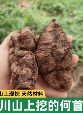 四川山上何首乌新鲜生首乌绝非种植货整个现挖中草药材500克