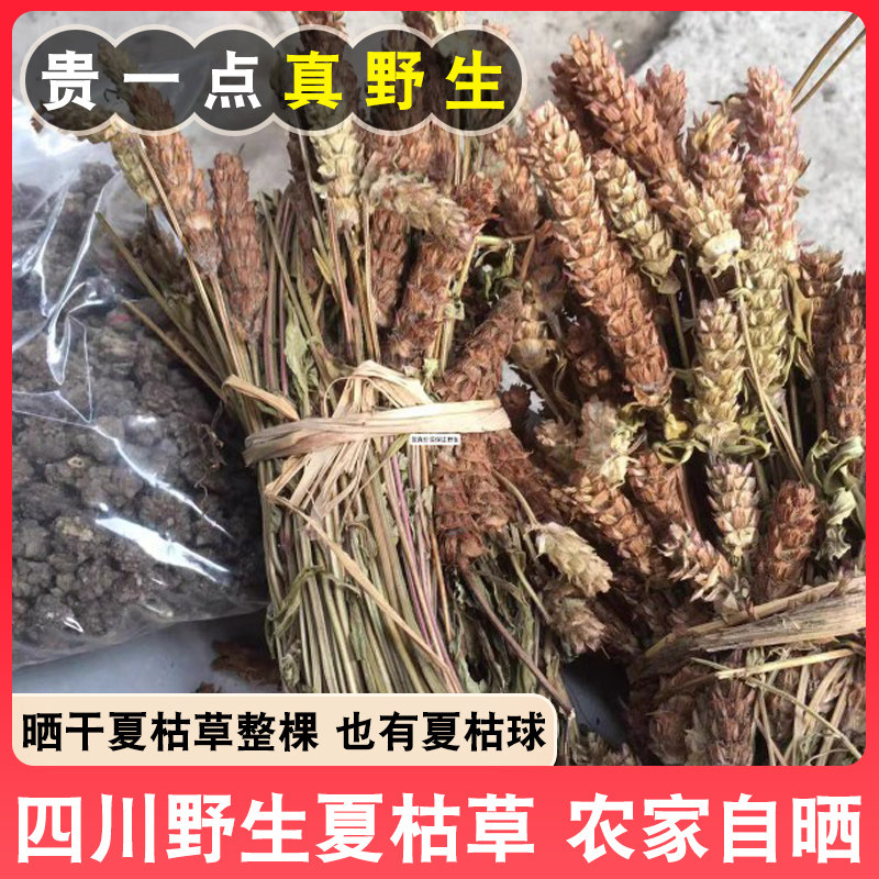 四川野生夏枯草晒干夏枯球泡茶非中药材草药灯笼草整棵带杆夏枯草