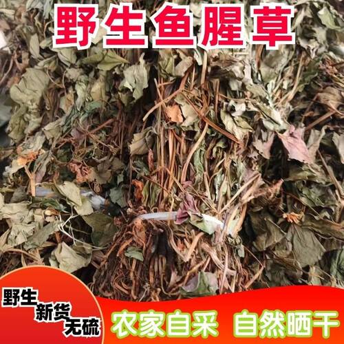 四川折耳根晒干鱼腥草自晒无硫