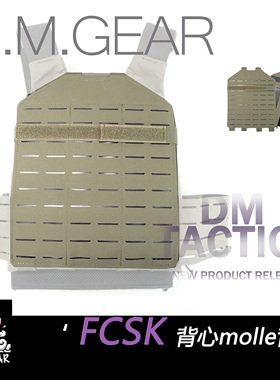DMGear FCSK战术背心配件  molle背板 黑色molle挂载背板 后片