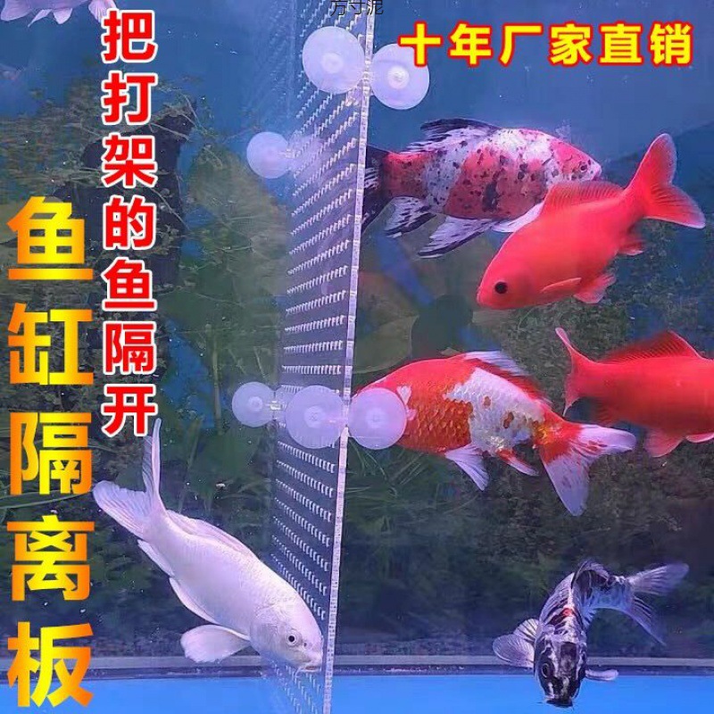 透明鱼缸隔板分离板水族箱隔断挡