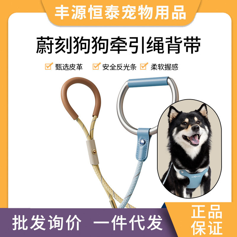 Voocoo/蔚刻狗牵引绳新款VOO