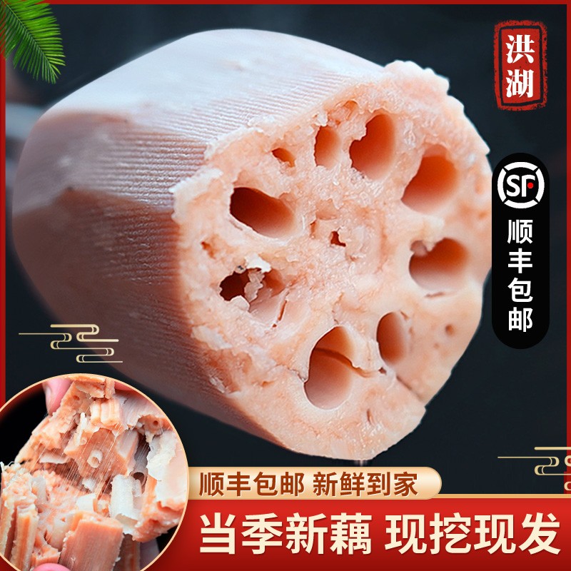 湖北洪湖莲藕新鲜现挖煲汤粉