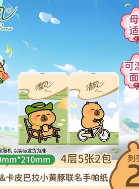 清风卡皮巴拉小黄豚联名款手帕纸4层5张便携小包擦手纸面巾纸纸巾
