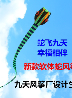 新款软体蛇风筝成人儿童无骨高档大型易飞竹叶青眼睛王蛇风筝厂家