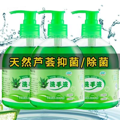 500ml大瓶洗手液家用持久留香不伤手杀菌消毒泡沫型芦荟清洁保湿