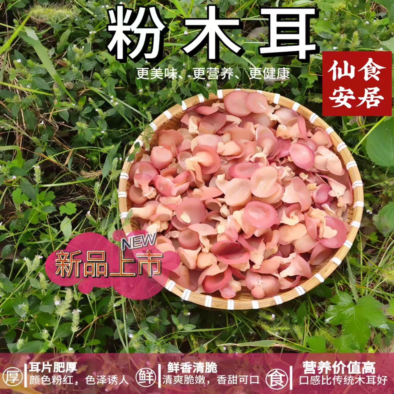 浙江新鲜粉木耳现摘贵妃粉木耳