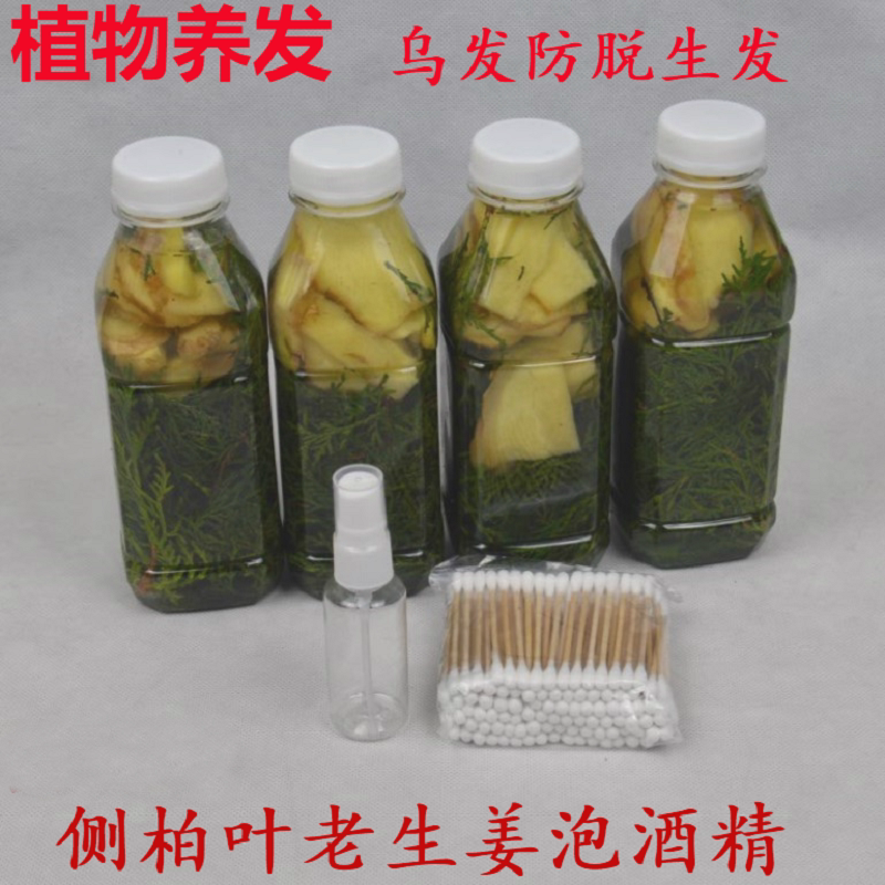 新鲜野生侧柏叶泡酒护发水白发酒精泡侧柏叶老生姜防脱发