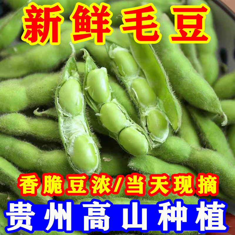 贵州新鲜带壳当季毛豆米