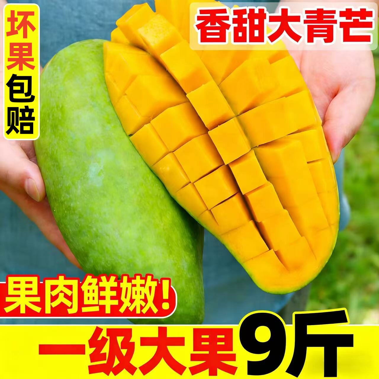 正宗越南大青芒当季新鲜水果整箱9斤青皮芒果现摘金煌芒一级大果