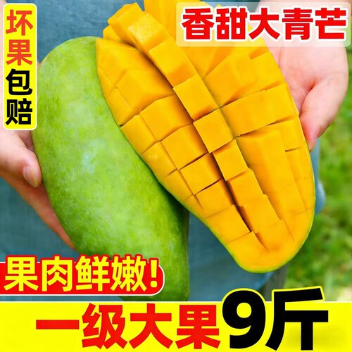 越南大青芒特大水果生熟两吃
