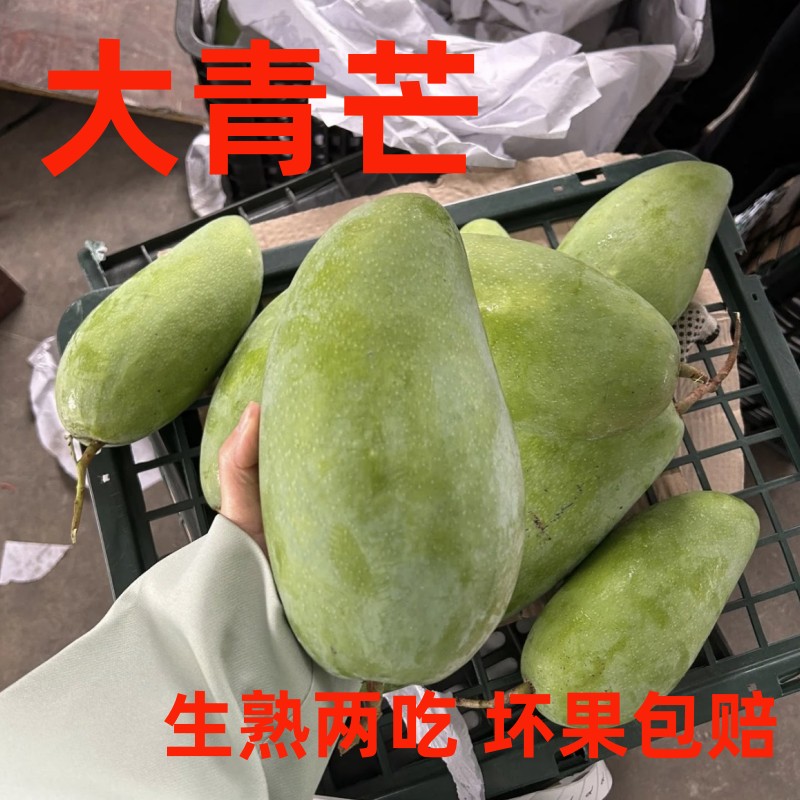 芒果新鲜10斤大青芒特大金煌芒