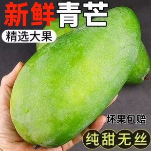 芒果新鲜10斤越南大青芒特大水果生鲜整箱当季热带金煌青芒果鲜果