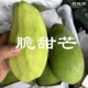 芒果新鲜大青芒脆生芒果脆酸甜口感可酸野食用