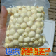 速冻鲜莲 包邮 2025新鲜莲子广昌白莲鲜货现摘去皮通心湿莲