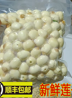 速冻鲜莲（顺丰包邮）2025新鲜莲子广昌白莲鲜货现摘去皮通心湿莲