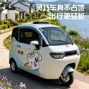 金博星空两门全封闭电动三轮车小型家用高端老年代步电瓶车老头乐