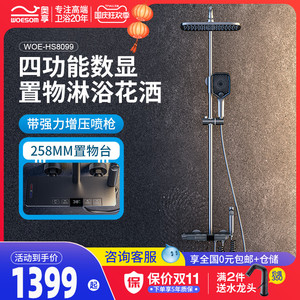 德国奥享淋浴花洒套装枪灰置物架家用沐浴器卫生间带喷枪恒温数显