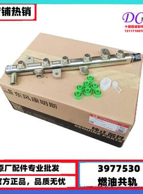 原厂康明斯发动机燃油共轨3977530ISDE发动机高压燃油共轨管总成