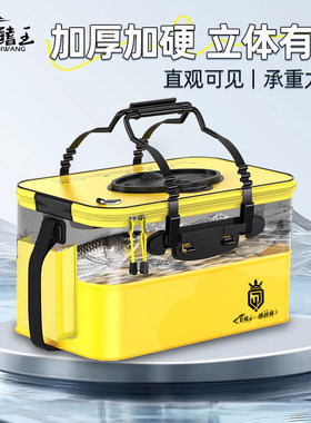 巨鳍王活鱼桶鱼箱钓鱼水桶折叠透明装鱼桶野钓专用加厚路亚鱼护桶