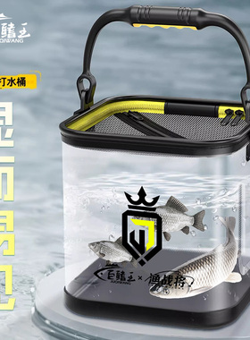 巨鳍王便携折叠透明打水桶路亚活鱼桶溪流马口活鱼箱野钓装鱼护桶
