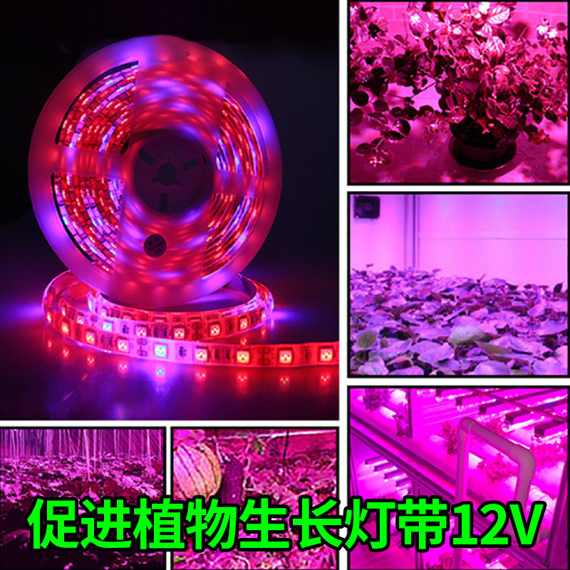 led植物补光生长灯带5050防水大棚蔬菜肉类番茄草莓植物花卉12V